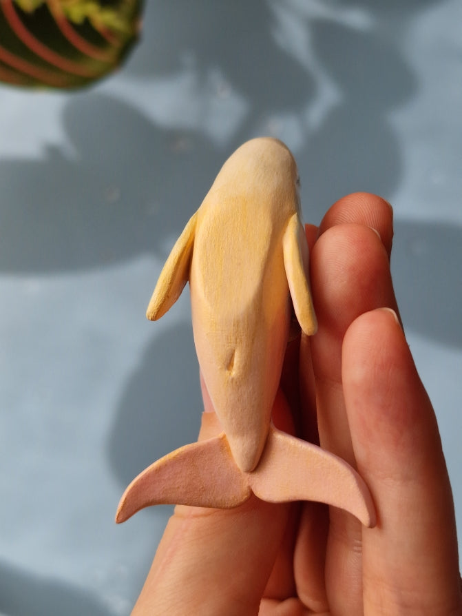 Nalu | Baby Minke Whale