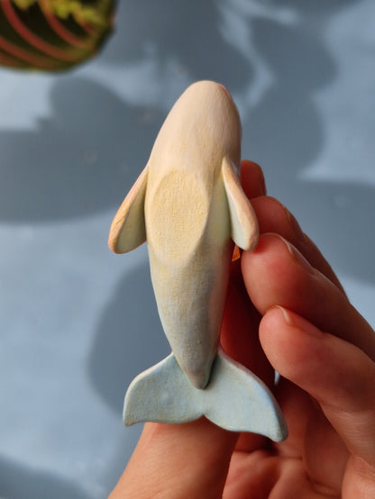 Irida | Baby Beluga Whale