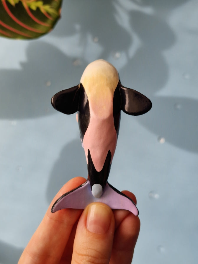 Irsia | Baby Orca Whale
