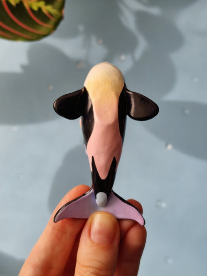 Irsia | Baby Orca Whale